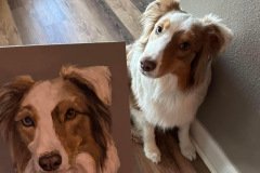 Pet Portraits.2024