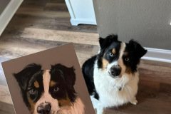Pet Portraits.2024